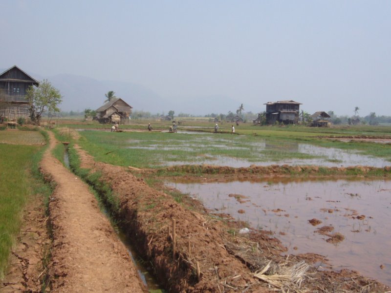 Travel - Myanmar - Inle Lake - Second Boat Trip - Walk to the Market